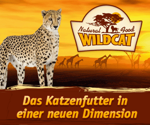 Wildcat und Wolfblut - Bestes Katzen und Hunde Trockenfutter